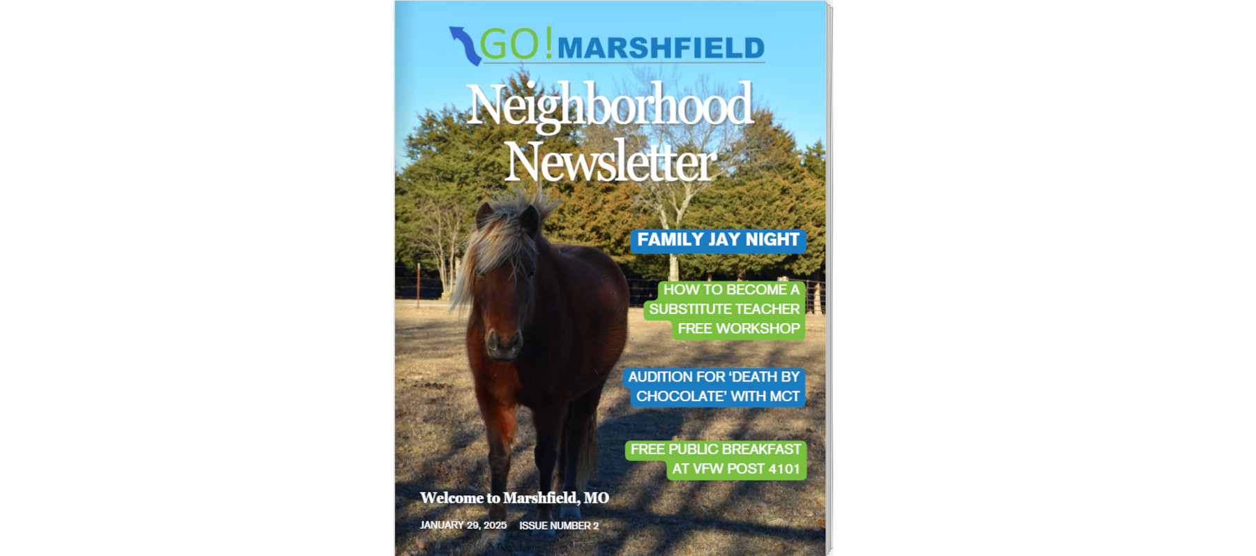 Issue 2:  January 29, 2025