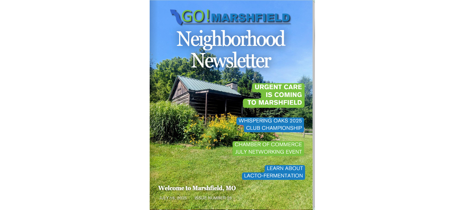 Issue 26: July 16, 2025